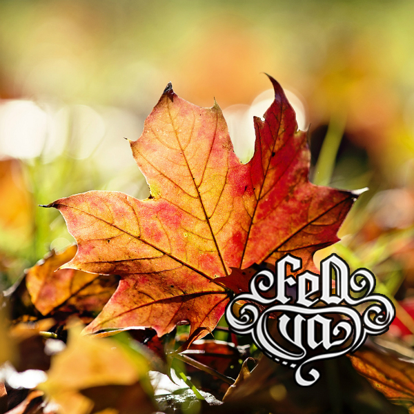 Красно-желтый лист